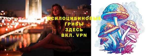 прущий лед Алексин