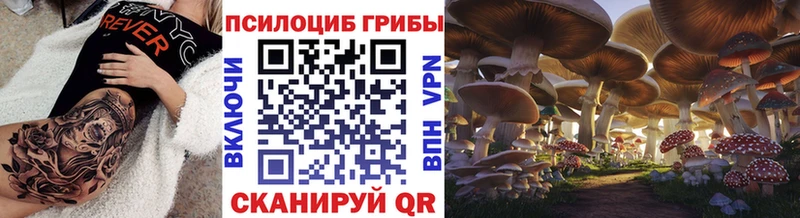 Псилоцибиновые грибы ЛСД  Рыбное 